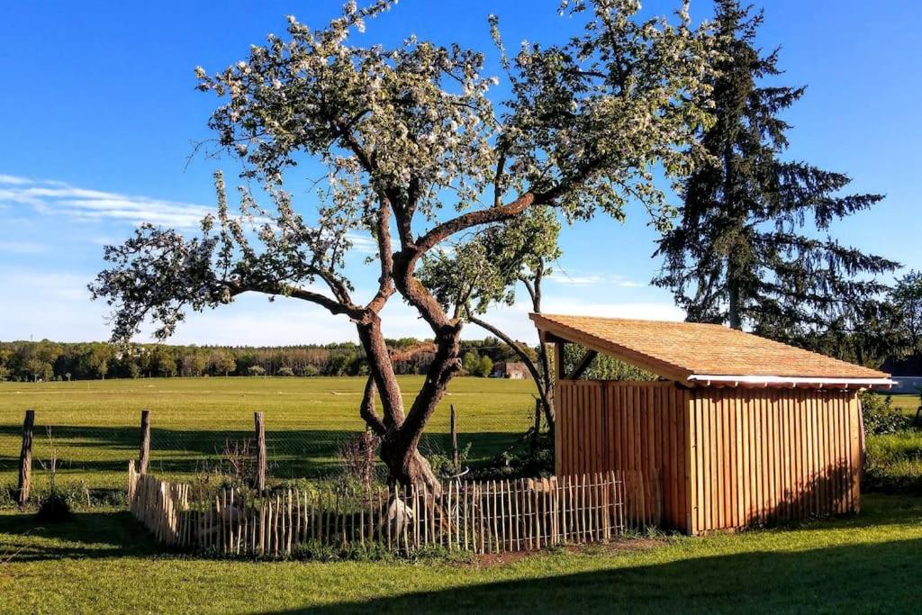Ferienwohnung Alte Schule Chorin Schorfheide Esterno foto